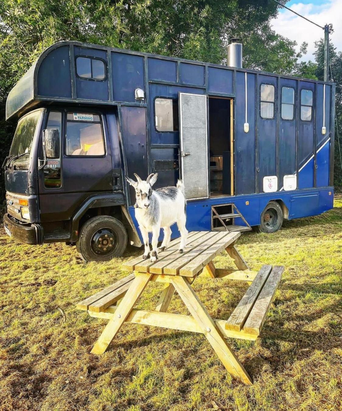 North Yorkshire Horse Box Hotel Bagian luar foto
