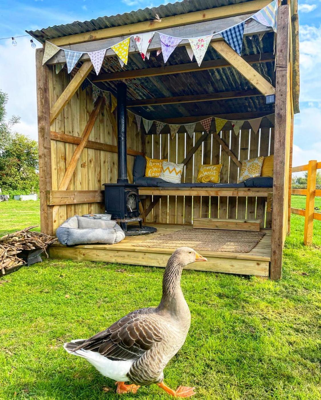 North Yorkshire Horse Box Hotel Bagian luar foto